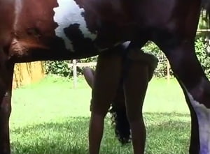 Лошадь доверилась зоофилке и не разочаровалась